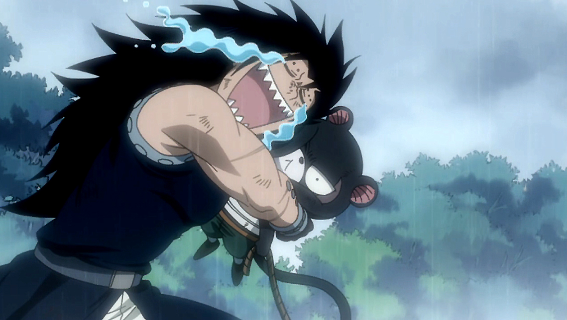 Pounie ? un duel ?! Gajeel_and_Lily