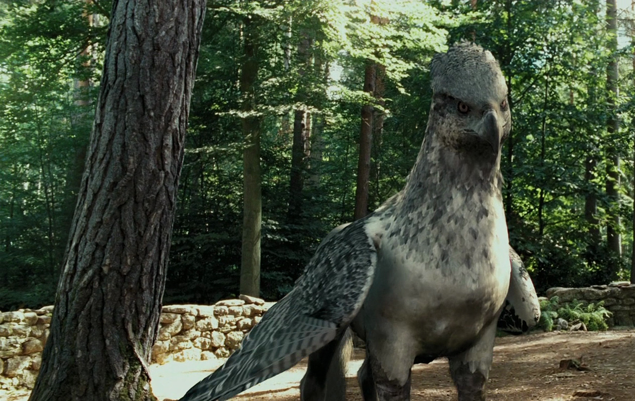 Hipogrifo. Buckbeak