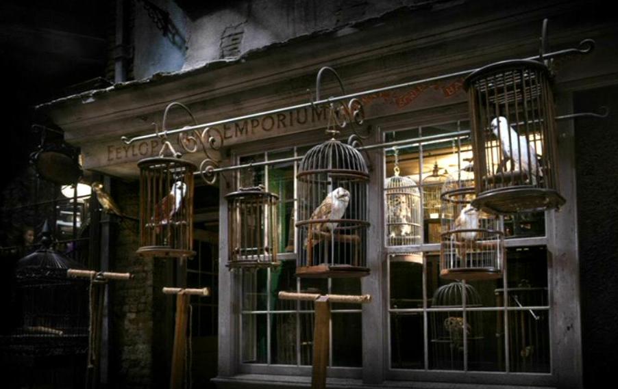 Les boutiques du Chemin de Traverse Diagon_Alley_-_Eeylops_Owl_Emporium