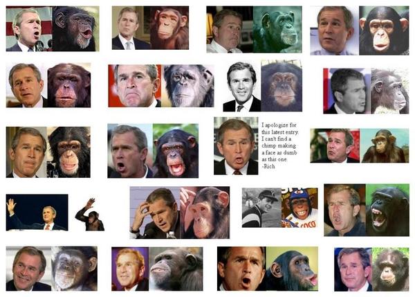 Parecidos razonables Bush_mono