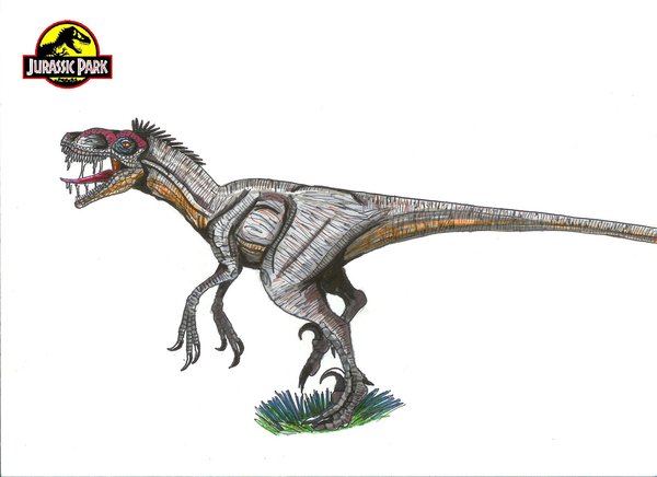 Velociraptor antirrhopus Jurassic_Park_Velociraptor_by_hellraptor