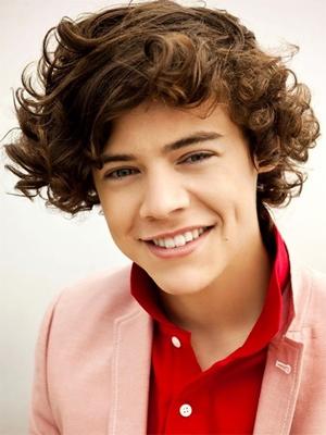 Hot or Not Hot  Harry1