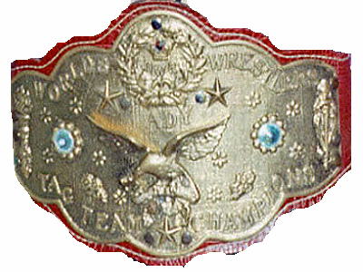 [Rumeurs] Un ancien titre de retour à la WWE? WWF_Women%27s_Tag_Team_Championship