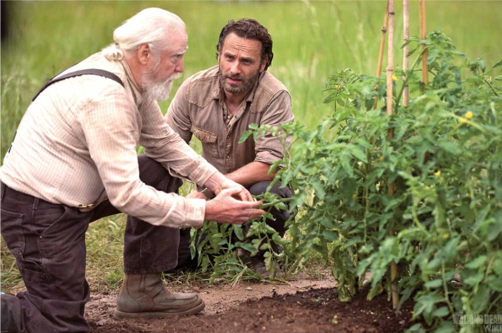 The Walking Dead 4ª Temporada: Informaciones,Fotos y Promos - Página 6 RickHershS4