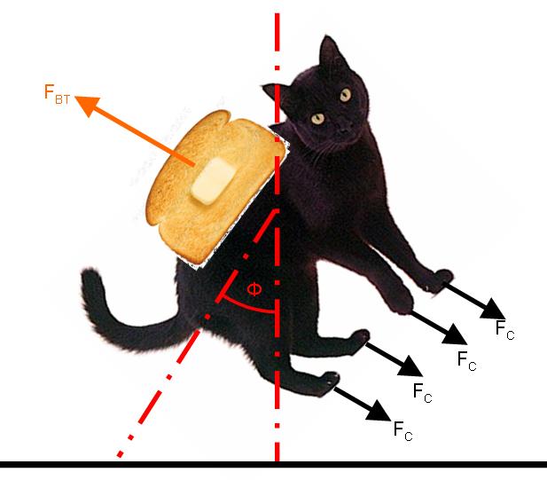 El Gato y su efecto sobre la Gravedad XD Cat_toast