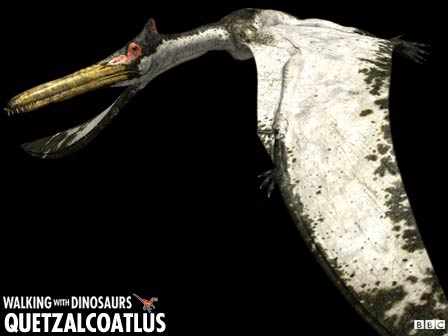 TEMA OFICIAL: SU ANIMAL PREHISTORICO FAVORITO Quetzalcoatlus_z1