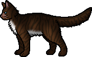 HawkClan - The Restoration - SU Hawkfrost.rogue