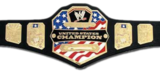 Usa Champion