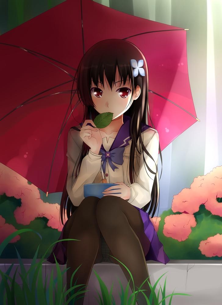 Princesas [Guía] 97444_saint-red-eyes-sunlight-anime-manga-umbrellas-anime-girls-sankarea-1520x2089-wallpaper_www.wallpaperfo.com_95