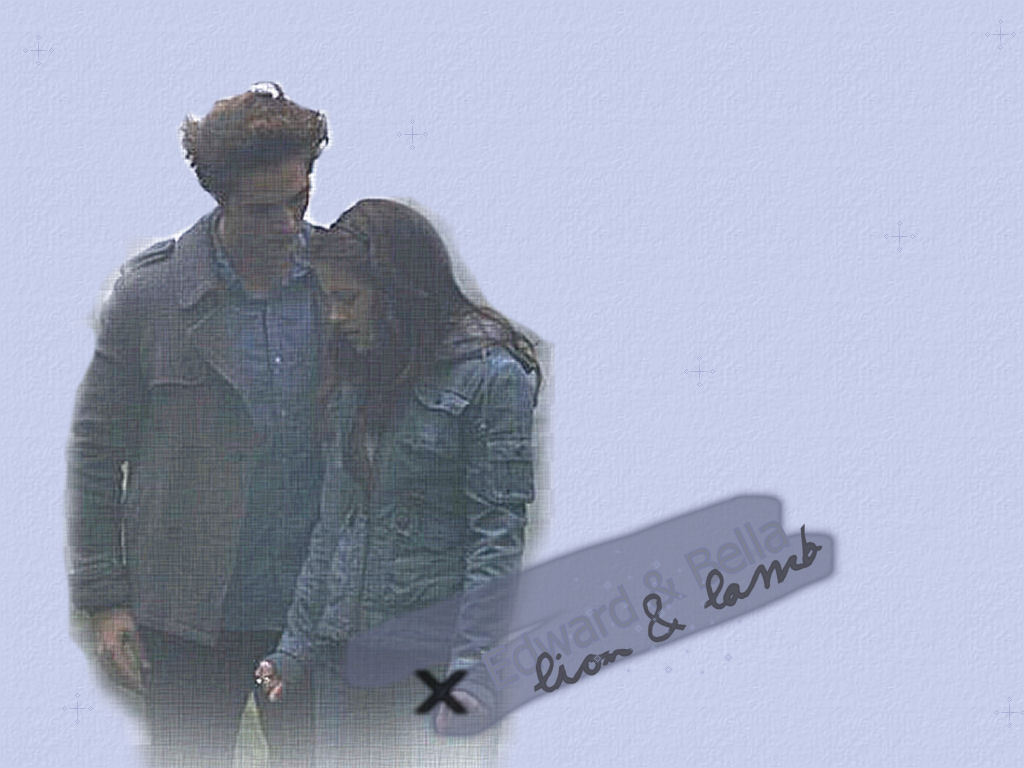 [Twil'movie] Banner-picture. Bella-Edward-twilight-series-1121410_1024_768