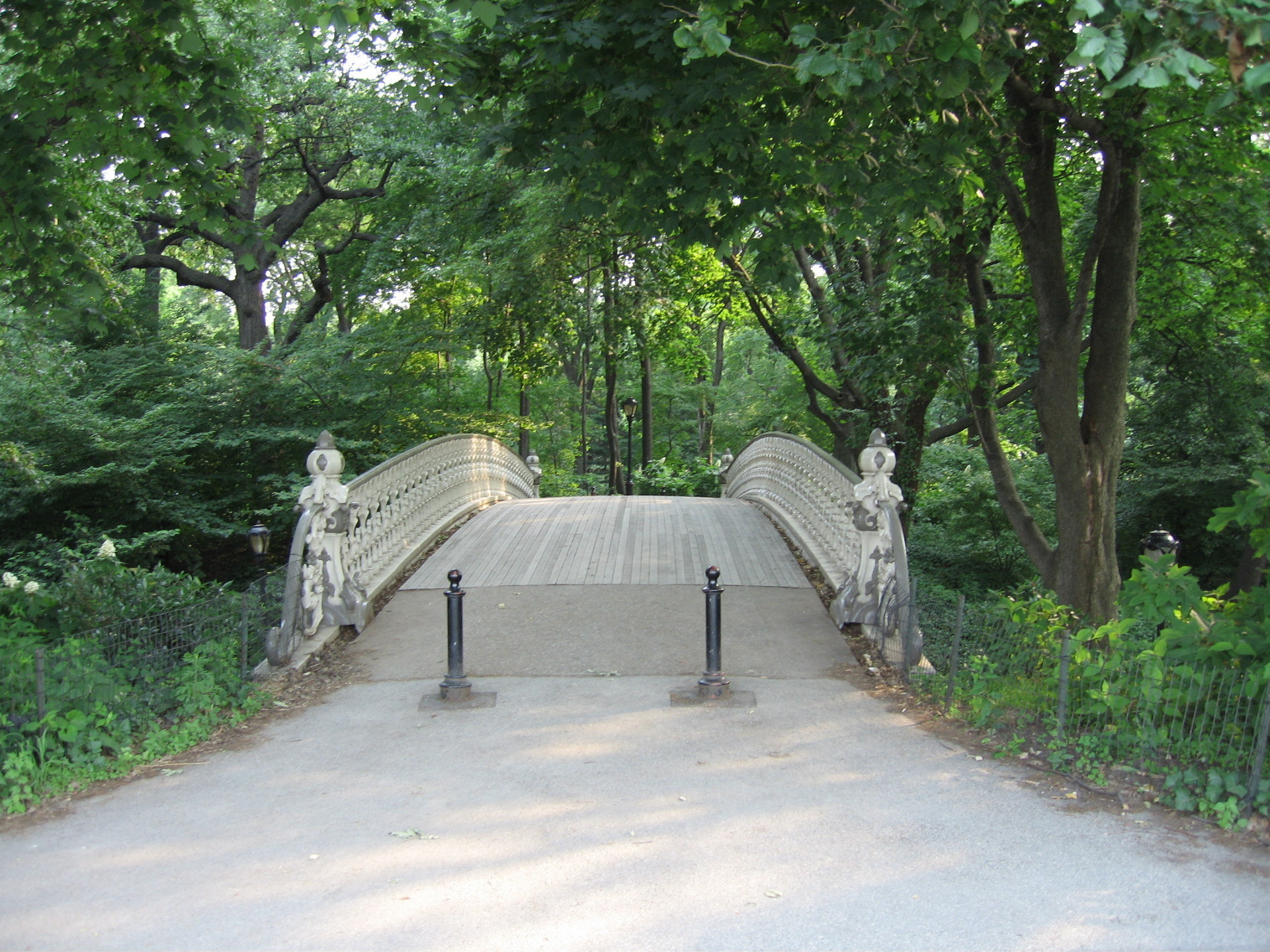 Un paseo...para recordar (Luca Giovani) Central-Park-new-york-1106181_1920_1440