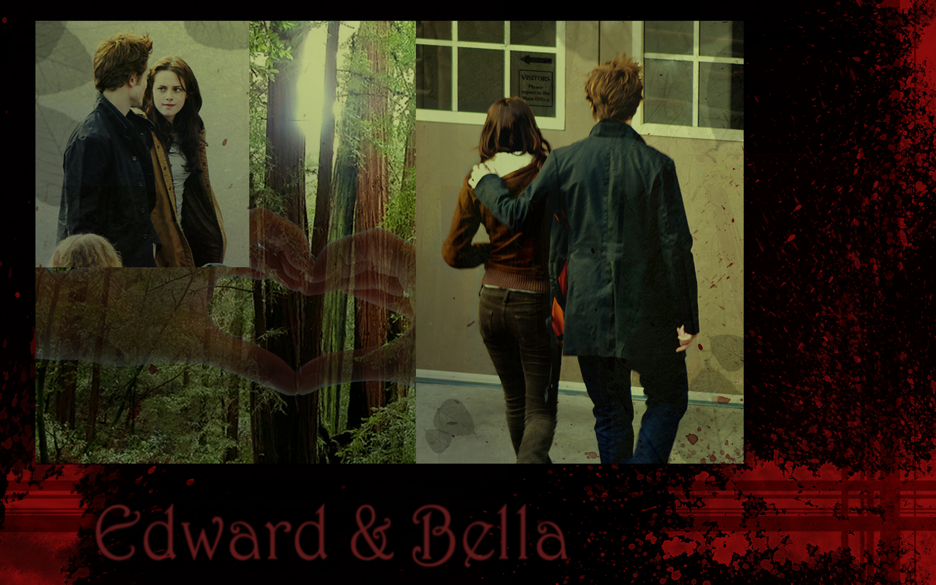 Wallpapers TWIIGHT Edward-Bella-twilight-series-951847_1920_1200