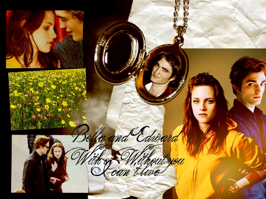 Wallpapers TWIIGHT Twilight-twilight-series-986726_1024_768