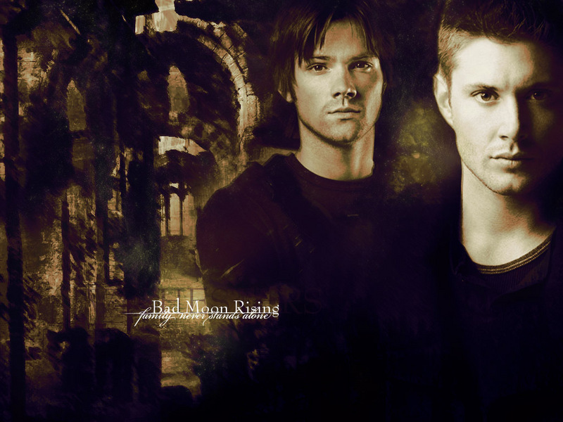 Wallpaper´s Sam-Dean-supernatural-1578677-800-600