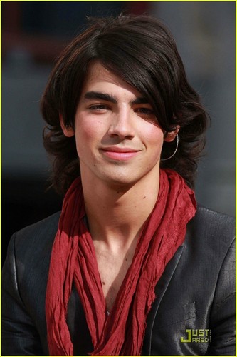       Joe-Jonas-the-jonas-brothers-1731128-333-500