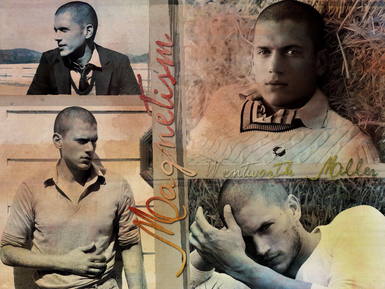 Wallpapers Went-wentworth-miller-2294100-1600-1200
