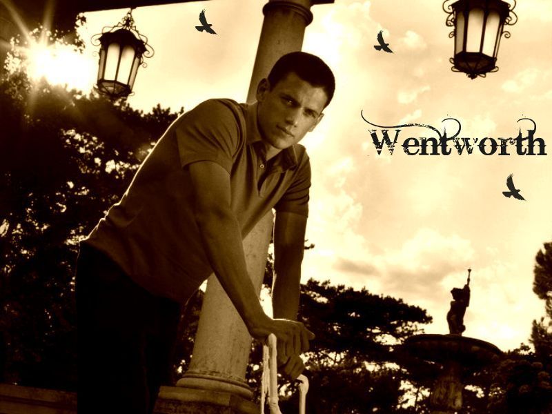 تصاميم حلوة للمثل مايكل سكوفيلد Wentworth-Miller-wallpaper-wentworth-miller-2419576-800-600