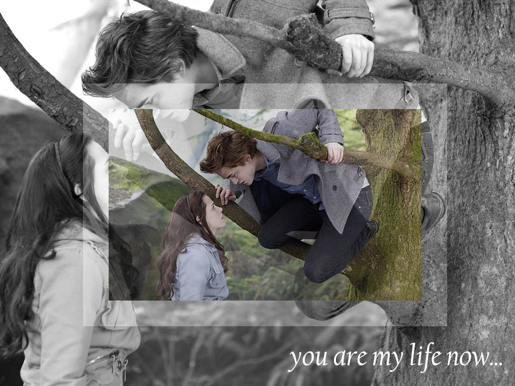 [Twil'movie] Banner-picture. Edward-Bella-twilight-series-2598198-1024-768