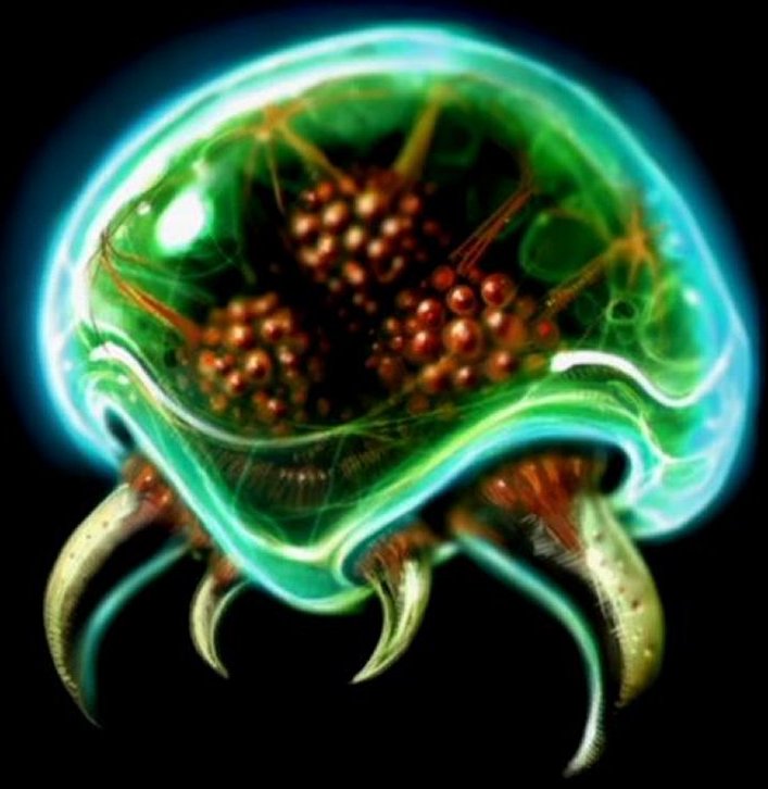 Criaturas extrañas de los videojuegos. A-metroid