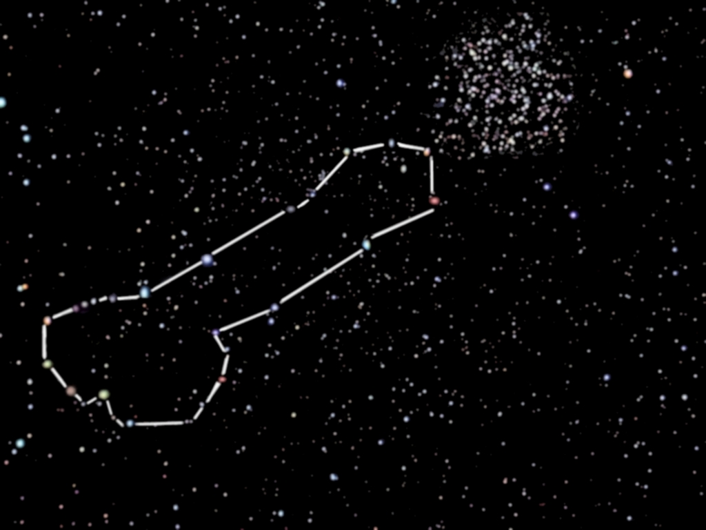 Joc: Endevina la constel·lació Penis_constellation