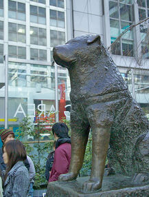 [Isla] Shibuya 217px-Hachiko