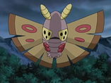 Los pokemon shinys 157px-EP542_Dustox_de_Austin