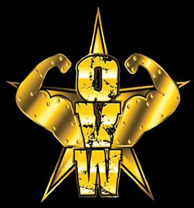 [Rumeurs] La TNA lance son NXT ? OVW-Logo