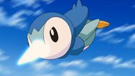 pokemon diamond adventure 190px-P10_Piplup_utilizando_picotazo