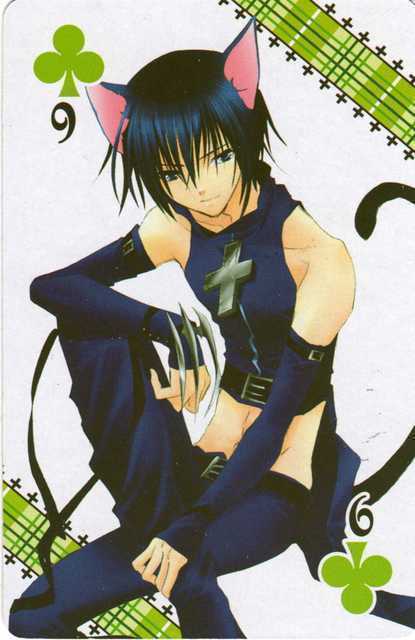 Ficha de Ikuto Character_Transformation_-_Black_Lynx