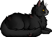 Die WindClan-Chroniken Graypool.elder