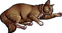 Die WindClan-Chroniken Princess.kittypet