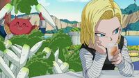 لكل محبي الأندرويد 18^_^ دخوول: 200px-Android18_%26_kado