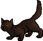 Die WindClan-Chroniken Clawface.apprentice