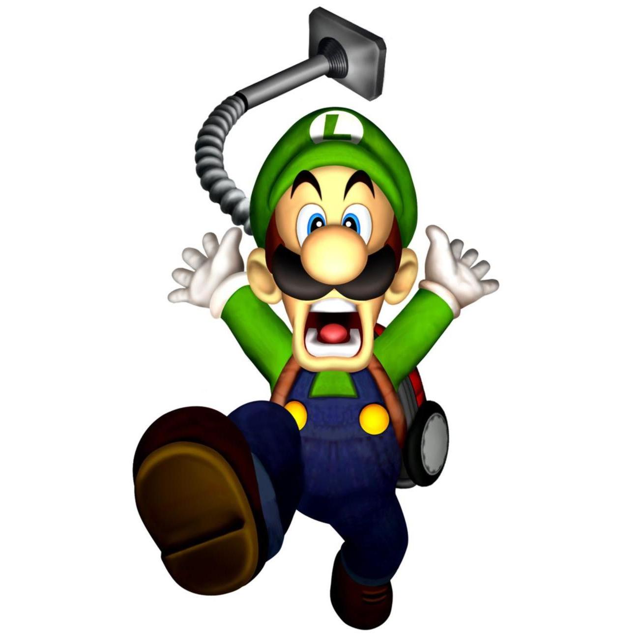 Das Googlebilderspiel - Seite 2 Luigi_Mansion