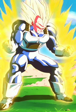 Hybrid Saiyan's  250px-VegetaAscendedSuperSaiyanEp155