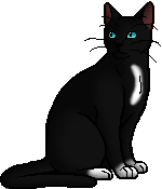 Die WindClan-Chroniken Whitethroat.warrior