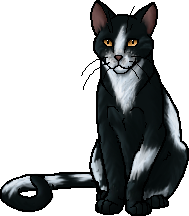 Die WindClan-Chroniken Tallstar.leader