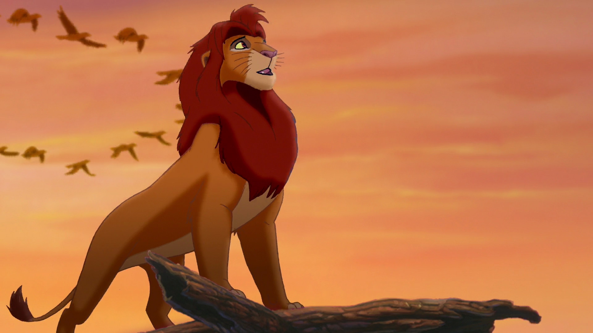 ¿Que edad tendría Simba en años Humanos? Thelionking2_147