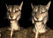 Skyrim - Juego de Rol. 180px-SepLnUp_Khajiit_a1%26c1