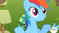 Imagens do Tank 201px-Rainbow_Dash_%27but_cooler%27_S2E07