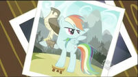 Rainbow Dash 201px-Rainbow-Dash-rainbow-dash-32470211-640-360