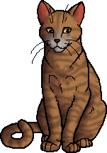WindClan (Clã do Vento)
