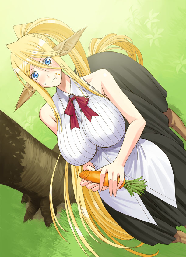 Monster Musume no Iru Nichijou Feild_cera