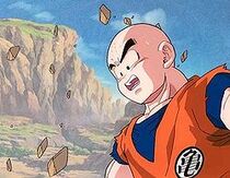 Human 210px-Krillin_watches