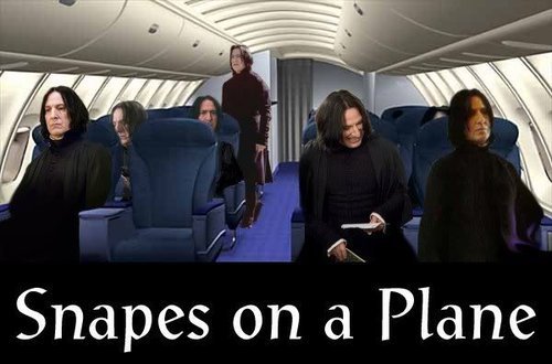 Daj mi gwiazdkę z nieba - Page 2 Funny-Snape-severus-snape-10182885-500-330