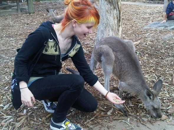 Hayley - Page 2 Paramore-in-Australia-hayley-williams-10484970-590-442