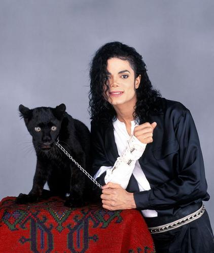 meh.   - Página 48 MJ-With-Young-Panther-Large-Photo-michael-jackson-10748629-422-500