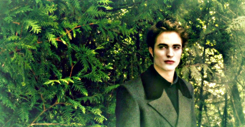 ROBERT PATTINSON - Pagina 2 Edward-edward-cullen-11048852-500-260