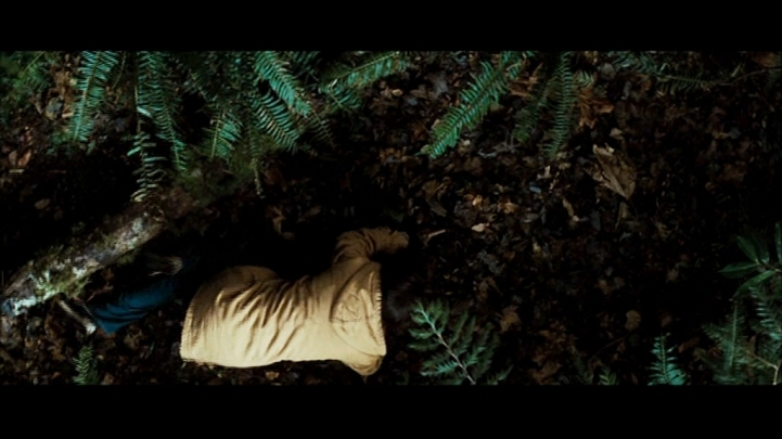 New Moon the movie -  11 Screencaps-of-Bella-in-the-woods-NewMoon-twilight-series-11063285-721-405