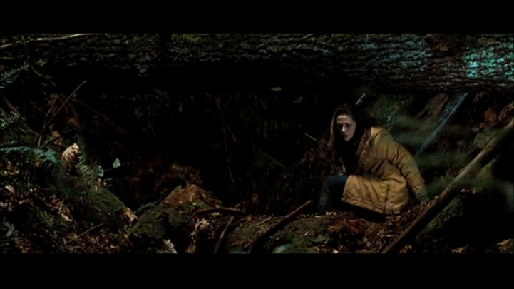 New Moon the movie -  11 Screencaps-of-Bella-in-the-woods-NewMoon-twilight-series-11063300-721-405